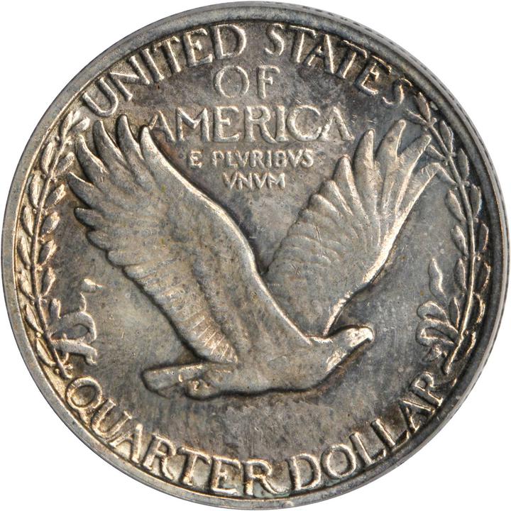 The-Only-Known-[not-Really]-Standing-Liberty-Quarter-Pattern